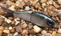 Image 6 of  Custom Airbrushed Glide Bait 7974