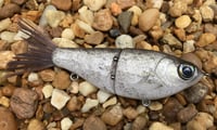 Image 1 of Custom Airbrushed Glide Bait 7992