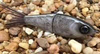 Image 3 of Custom Airbrushed Glide Bait 7992