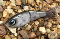 Image 4 of Custom Airbrushed Glide Bait 7992
