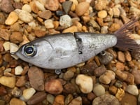 Image 5 of Custom Airbrushed Glide Bait 7992