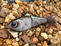 Image 6 of Custom Airbrushed Glide Bait 7992