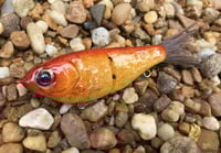 Image 1 of  Custom Airbrushed Glide Bait 8013