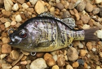 Image 1 of Custom Airbrushed Glide Bait 8085