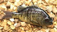 Image 4 of Custom Airbrushed Glide Bait 8085