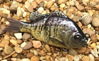 Image 6 of Custom Airbrushed Glide Bait 8085