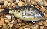 Image 9 of Custom Airbrushed Glide Bait 8085