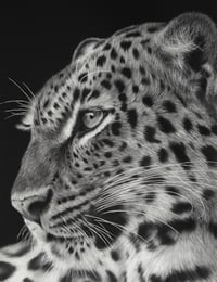 Image 1 of “Sovereign Stillness” gicleè print 