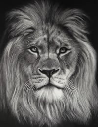 Image 1 of Giclee print “Silent majesty” 