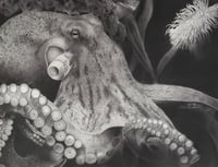 Image 1 of Limited edition print “mastermind of the deep”