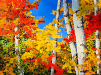 Image 1 of - Happy -