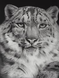 Image 1 of Giclee print “Snow Royal” 2025