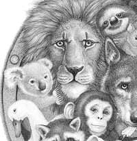 Image 5 of Aquí hay lugar para todos ( hanging out in the Ark)