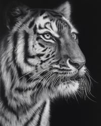 Image 1 of Giclee print “Poise before the pounce” 2025