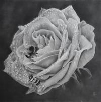 Giclee print “love drops” 2022