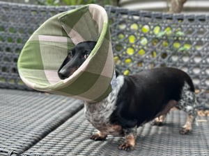 Image of Gingham Linen Soft Cone