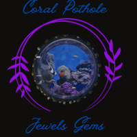 Ship Porthole Wall Decor