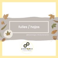 Image 1 of FULLES / HOJAS