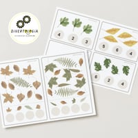 Image 3 of FULLES / HOJAS