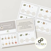 Image 6 of FULLES / HOJAS