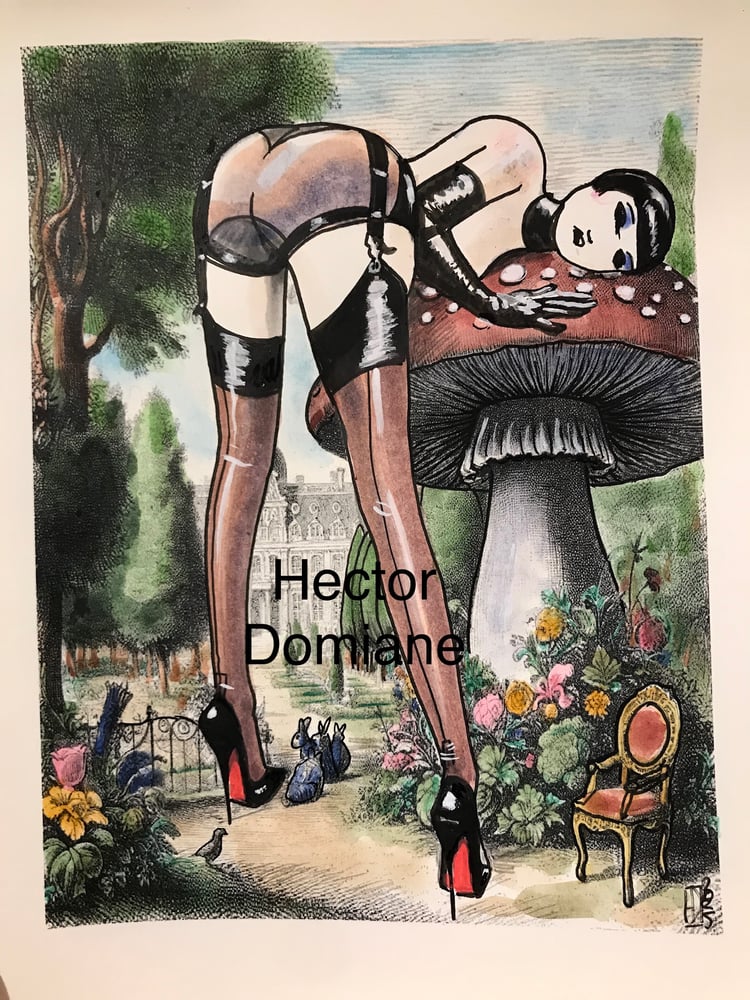 Image of Alice in fetishland 55