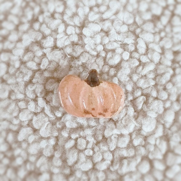 Image of Broche Pumpkin