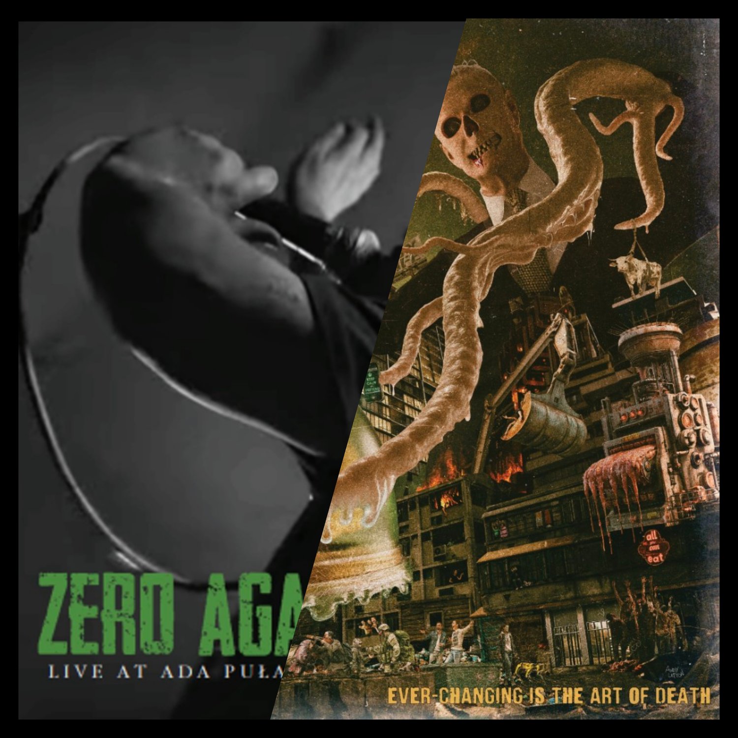 Ever-Changing/Live at Ada Pulawska CDs