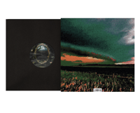 Image 2 of Memes & Archetypes (Vinyl)