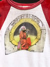 Grateful Dead 1970s Blues for Allah Raglan Shirt - Fits L