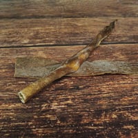 Image 1 of Peau de sanglier (50CM)