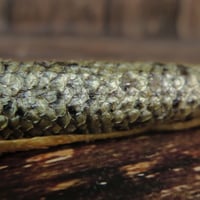 Image 3 of Bâton de peau de saumon (avec chair) XL