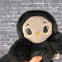 Image 1 of BITTY- Bramble