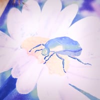 Image 2 of bugs • 14x14cm