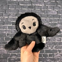 Image 2 of PEANUT- Talon