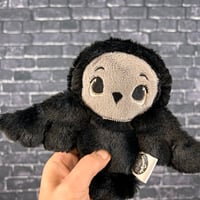 Image 1 of PEANUT- Talon