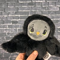 Image 1 of PEANUT- Gloom *2nds Quality*