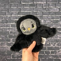 Image 2 of PEANUT- Gloom *2nds Quality*