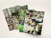 Image 1 of Woods and Water notecard pack