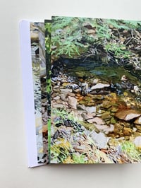 Image 3 of Woods and Water notecard pack