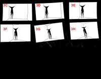 Image 5 of Original frames: TAKE CARE