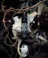 Image 1 of Capricorn Perfume (Hinoki, Labdanum, Leather, Smoke)