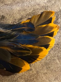 Image 2 of Feather Wand Emberflight