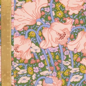 Image of CLEMENTINA DAISY ( A ) 
