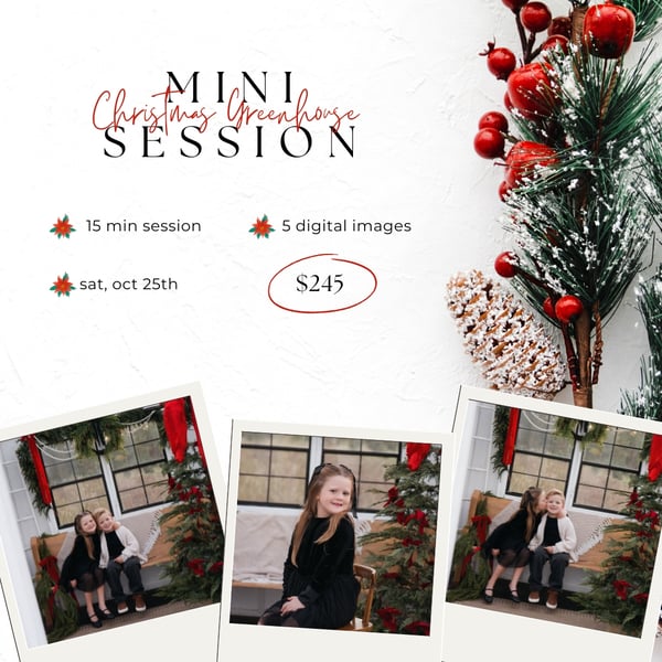 Image of Christmas Greenhouse Mini Session 10/25