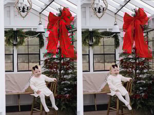Image of Christmas Greenhouse Mini Session 10/25