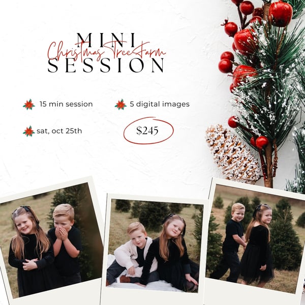Image of Christmas Tree Farm Mini Session 10/25