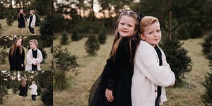 Image of Christmas Tree Farm Mini Session 10/25