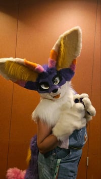 Image 1 of Sunset Fennec Fox