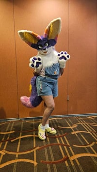 Image 3 of Sunset Fennec Fox