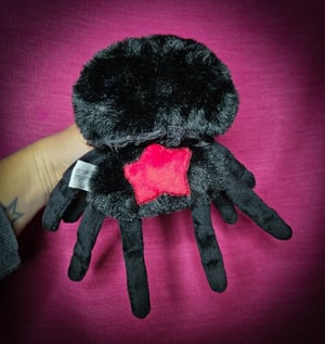 Spiderling!